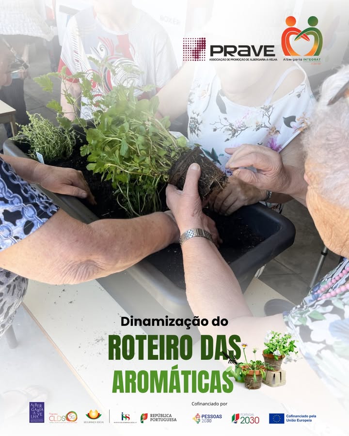 CLDS 5G Albergaria Integra'T